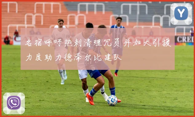 名宿呼吁热刺清理冗员并加大引援力度助力德泽尔比建队